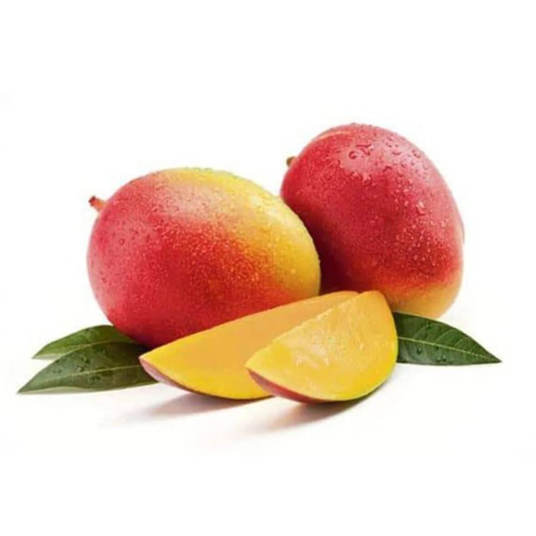 Gulabkhas Mango Grafted Tree