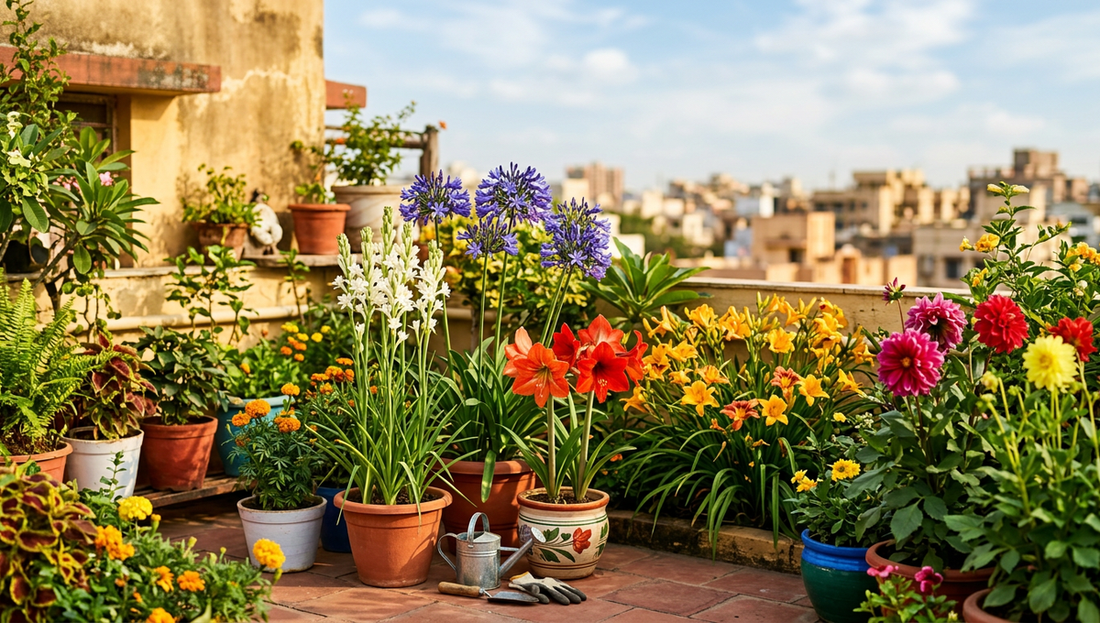 Summer Flowering Plants to Grow in India | Plant Store