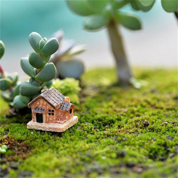 Garden miniatures
