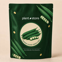Sponge Gourd Green Long Vegetable Seeds | 25–50 Seeds