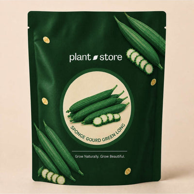 Sponge Gourd Green Long Vegetable Seeds | 25–50 Seeds