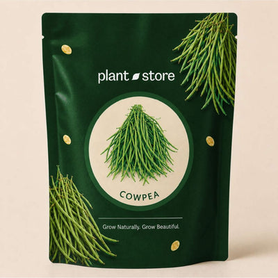 Cowpea Vegetable Seeds