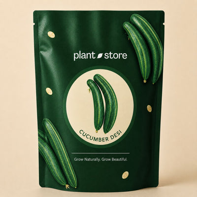 Cucumber Desi Vegetable Seeds | 40–85 Seeds