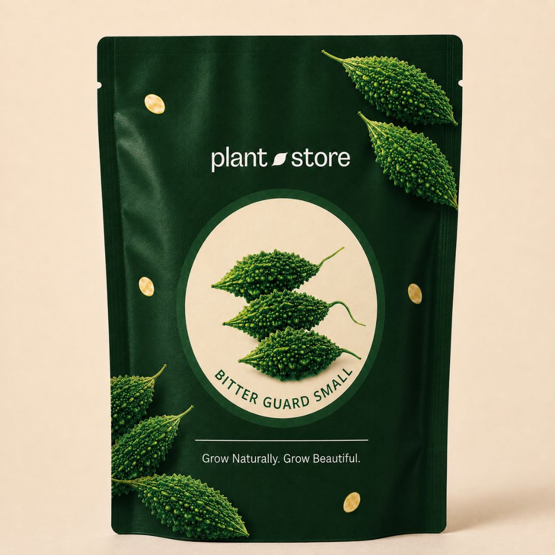 Bitter Gourd Small Green Vegetable Seeds | 10–20 Seeds