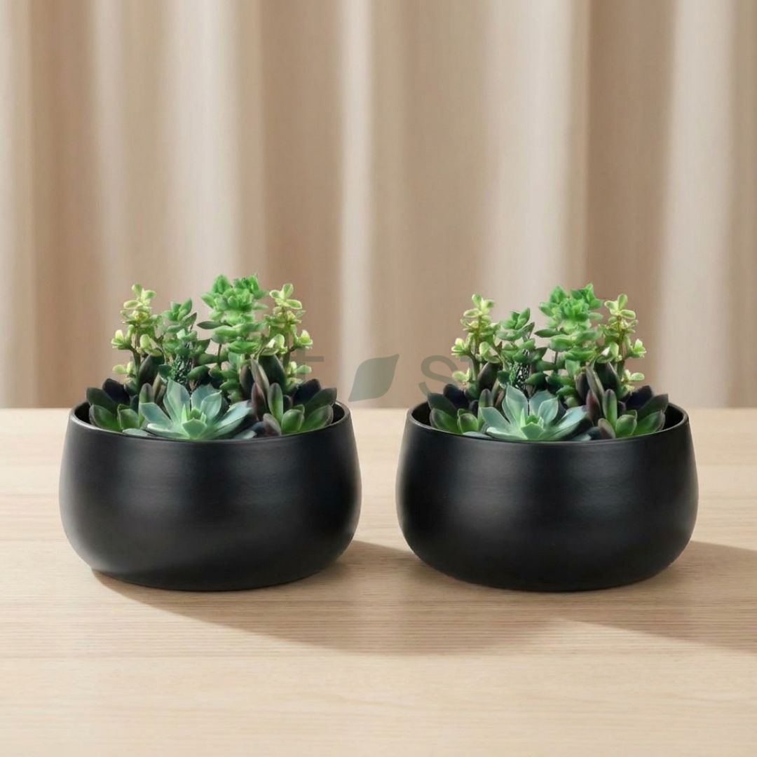 Noir Curve Planter