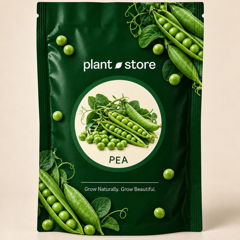 Pea Vegetable Seeds | 50–100 Seeds