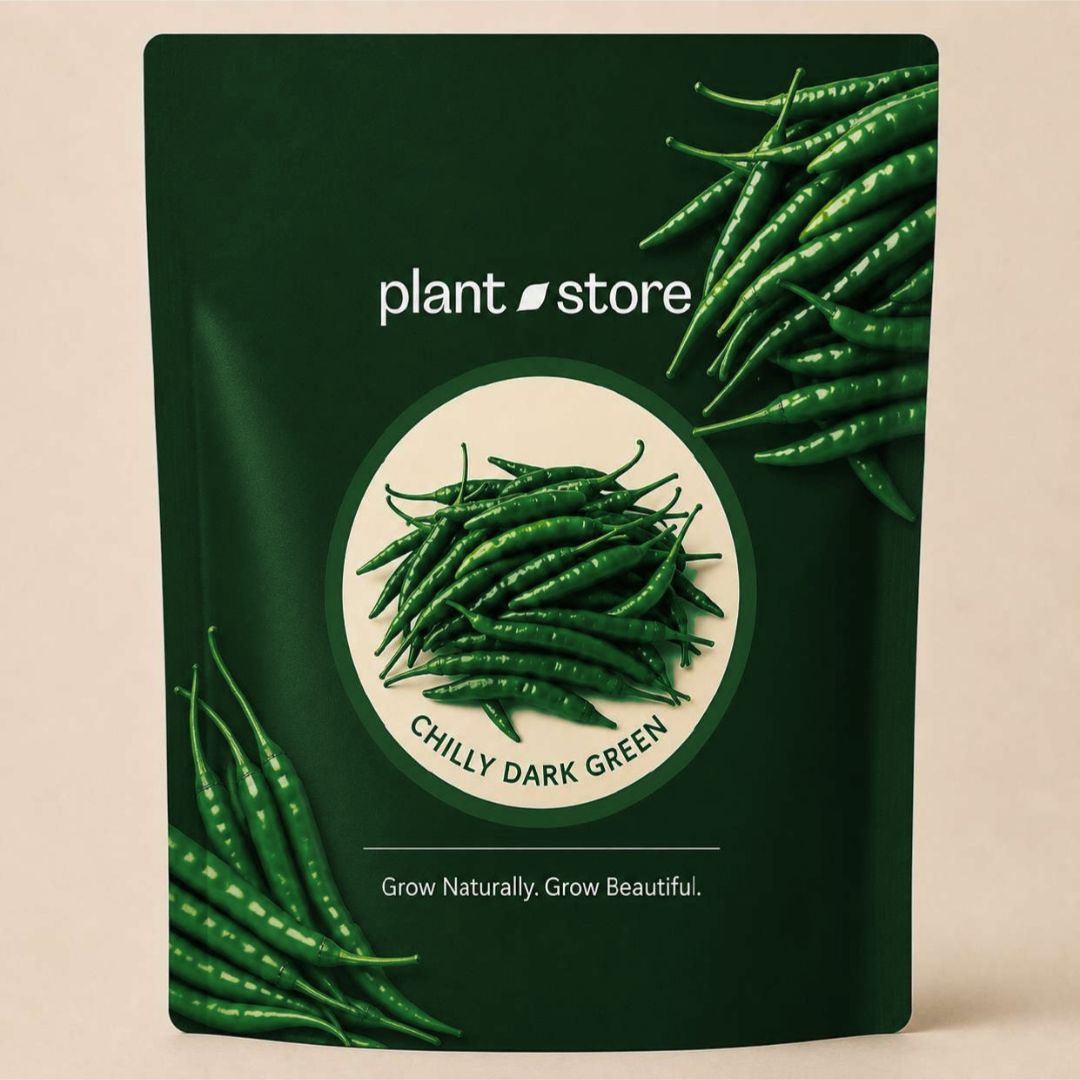 Chilly Short Dark Green Vegetable Seeds | 90–150 Seeds