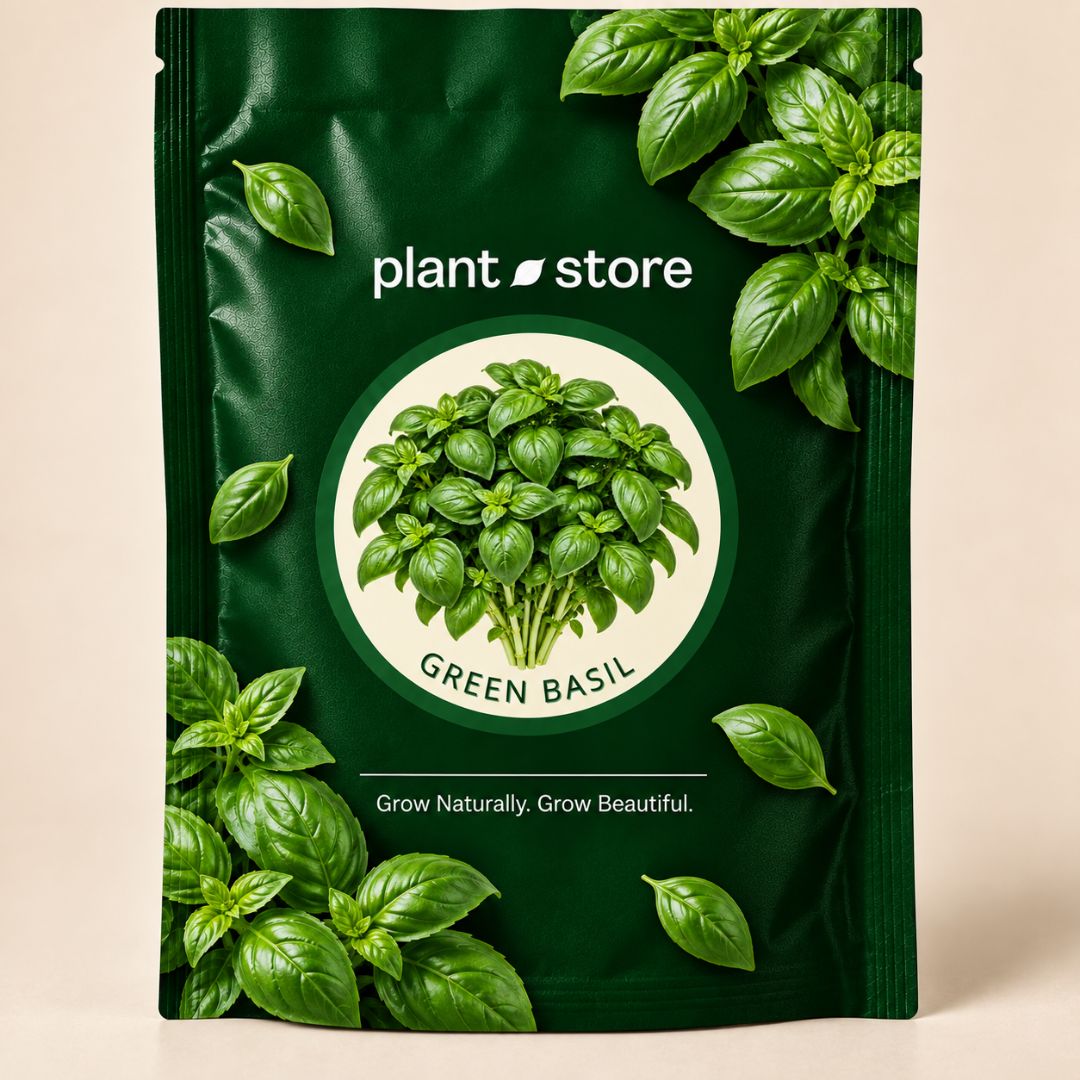 Basil Vegetable Seeds | 40-60 Seeds