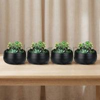 Noir Curve Planter