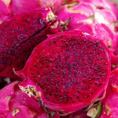 Dragon fruit - Red Flesh Plant