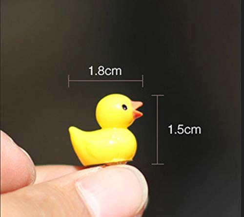 Duck Miniatures (Set of 10)