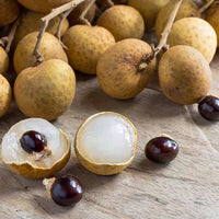 Ping Pong Longan Grafted Plant