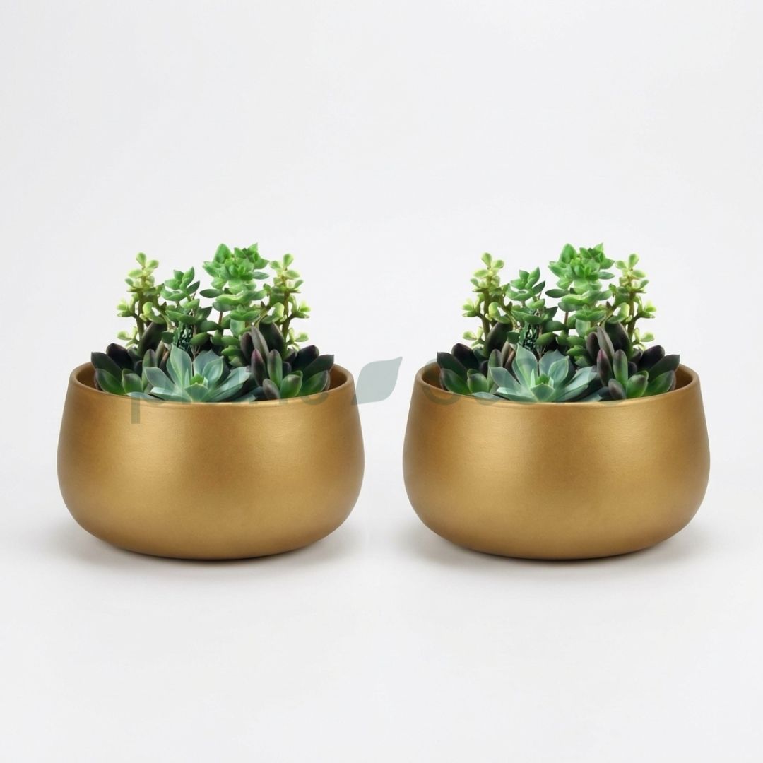 Noir Curve Planter