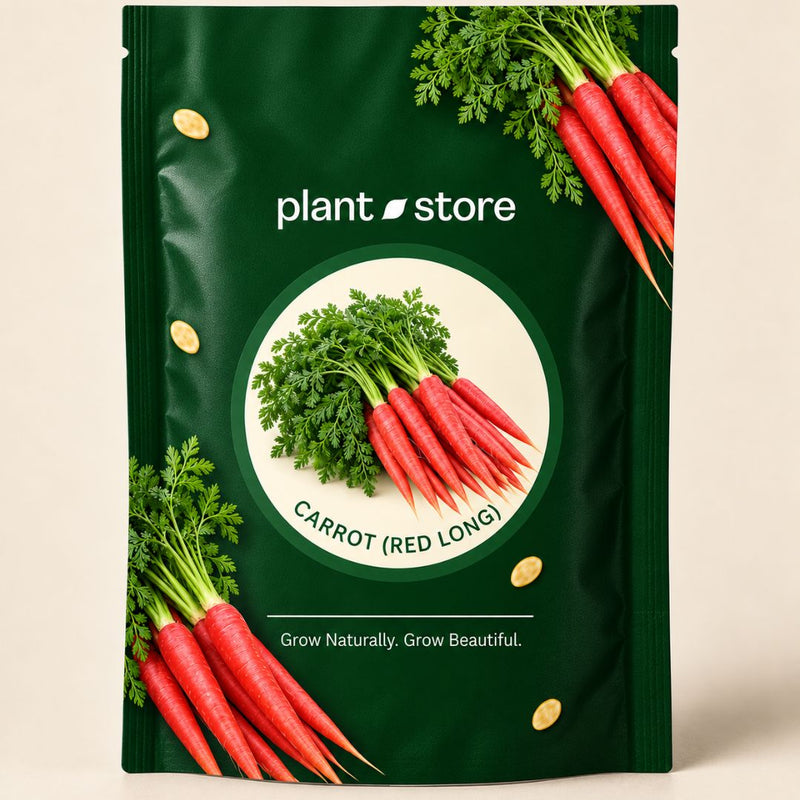Carrot Red Long Vegetable Seeds | 1000–1500 Seeds