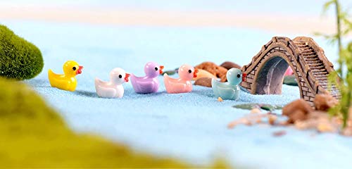 Duck Miniatures (Set of 10)