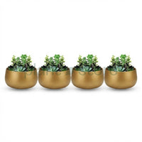Noir Curve Planter
