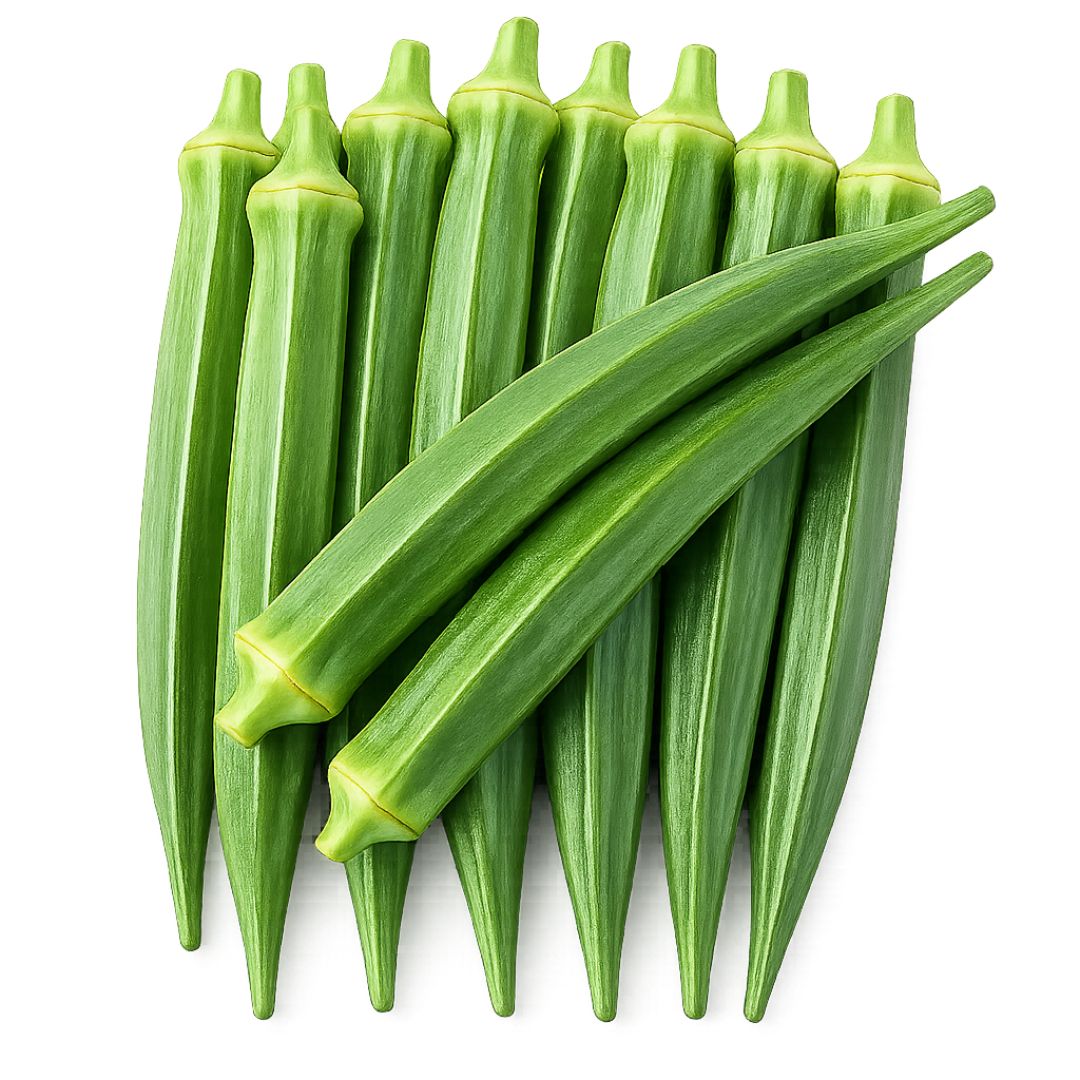 Lady Finger (Okra) Vegetable Seeds | 150-200 Seeds