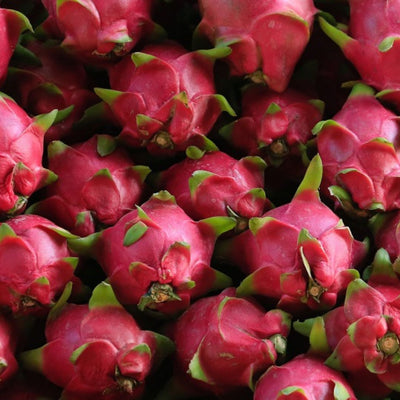 Dragon fruit - Red Flesh Plant