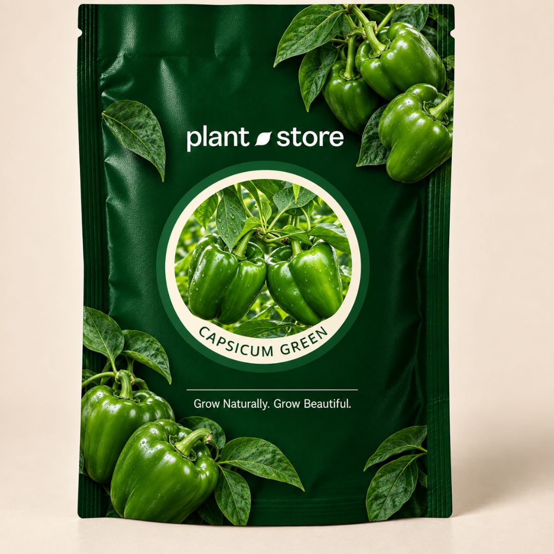Capsicum Green Vegetable Seeds | 180-220 Seeds