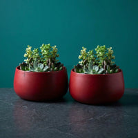 Noir Curve Planter