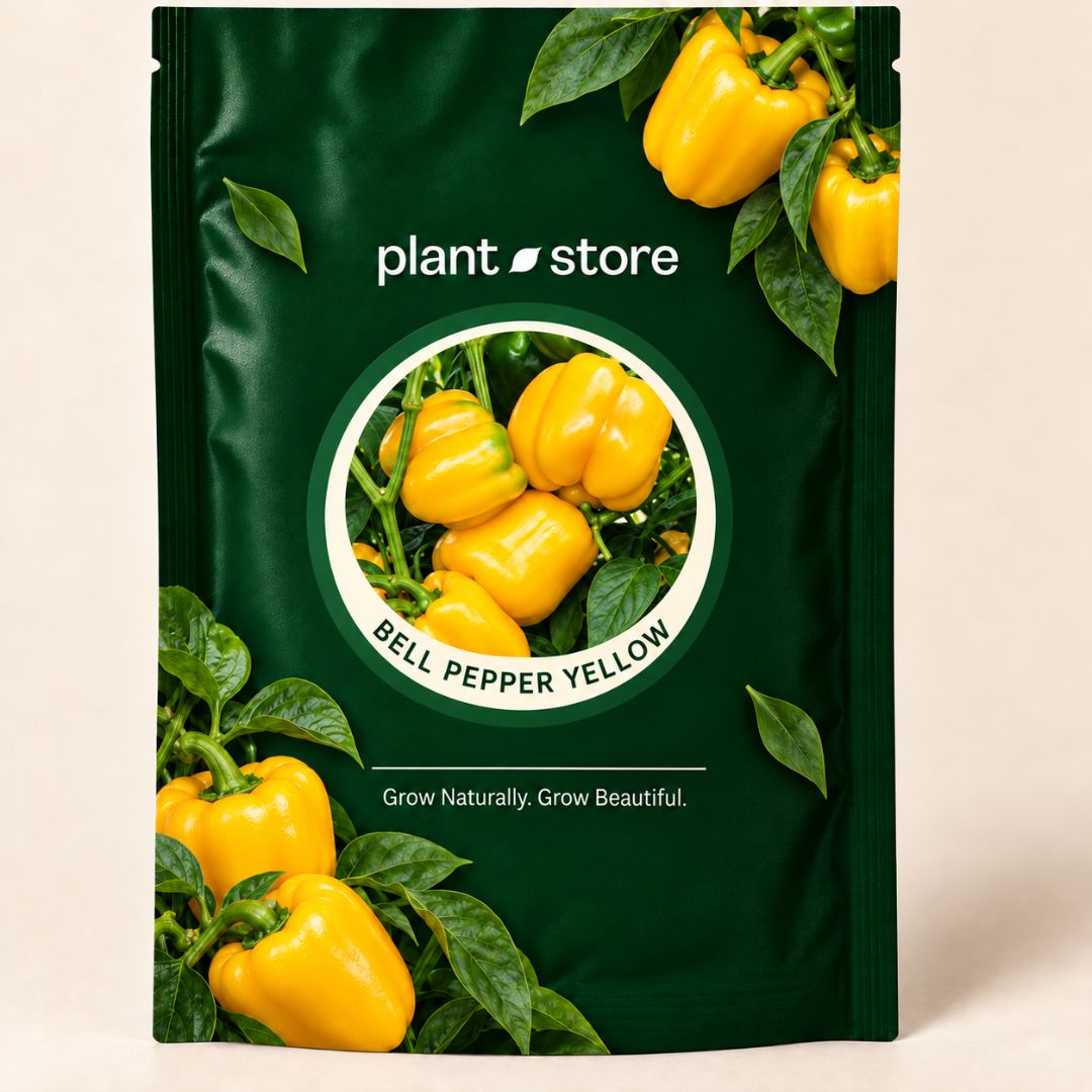 Bell Pepper Yellow Vegetable Seeds| 15-25 Seeds