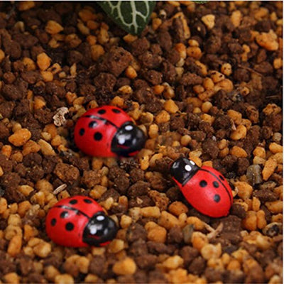 Resin Red Lady-bug Miniature - Set of 50