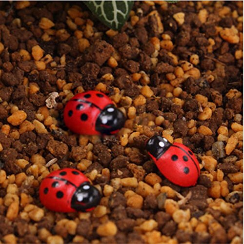 Resin Lady-bug Miniature - Set of 50 - plant store® 
