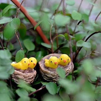 Bird Nest Miniature (Set of 2)