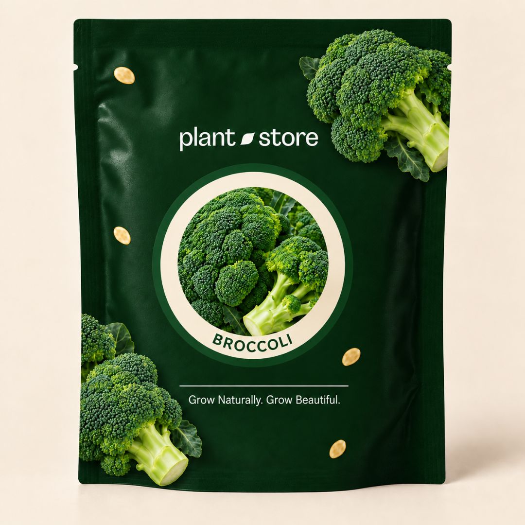 Broccoli Vegetable Seeds| 35-45 Seeds