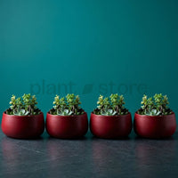 Noir Curve Planter