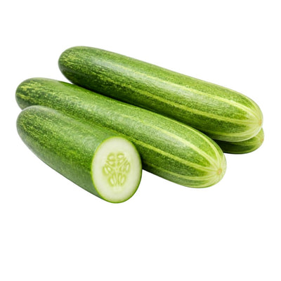 Cucumber Indian Khira Vegetable Seeds | 40–90 Seeds
