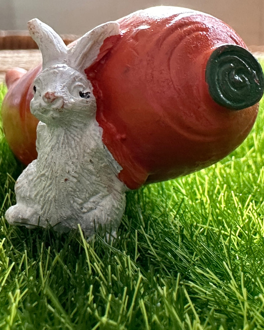 Carrot and Rabbit Garden Miniature (1pc) - plant store® 