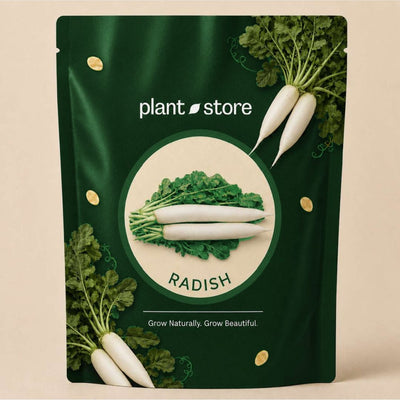 Radish Vegetable Seeds | 10 Grams