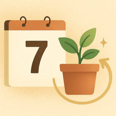 7-day replacement