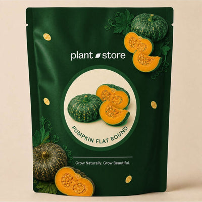 Pumpkin Flat Round Vegetable Seeds | 20–35 Seeds (5 Grams)