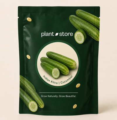 Cucumber Indian Khira Vegetable Seeds | 40–90 Seeds