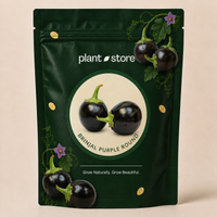 Kitchen Garden Seeds Kit