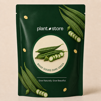 Ridge Gourd Dark Green Vegetable Seeds | 20–40 Seeds