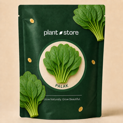 Palak Vegetable Seeds | 10 Grams