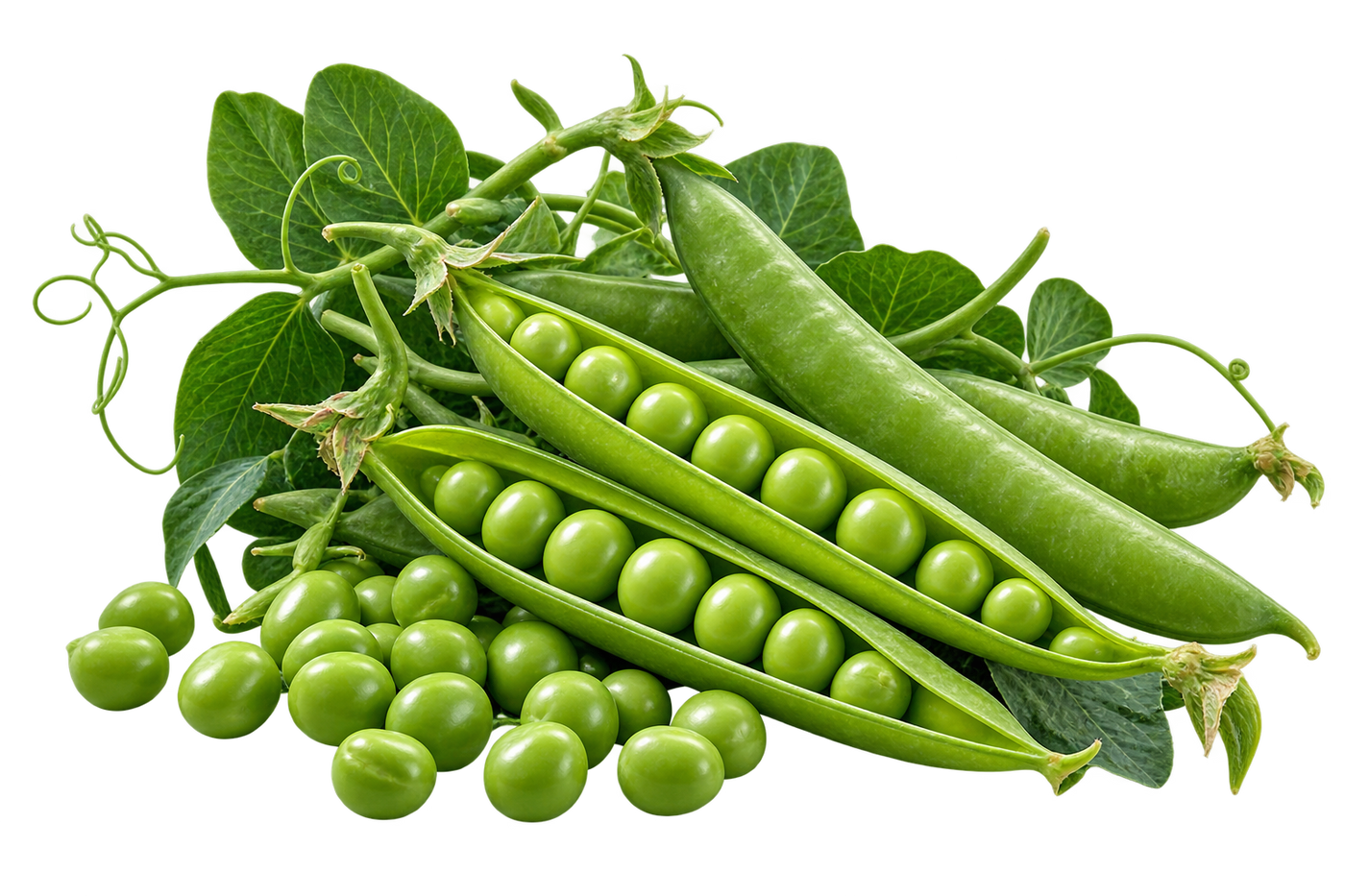 Pea Vegetable Seeds | 50–100 Seeds