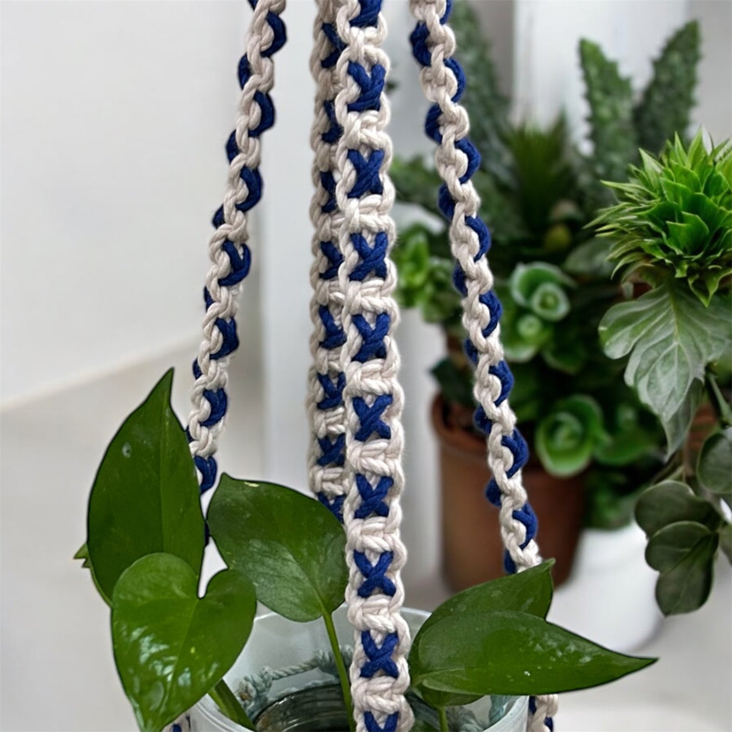 Macrame Intertwined Plant Hanger