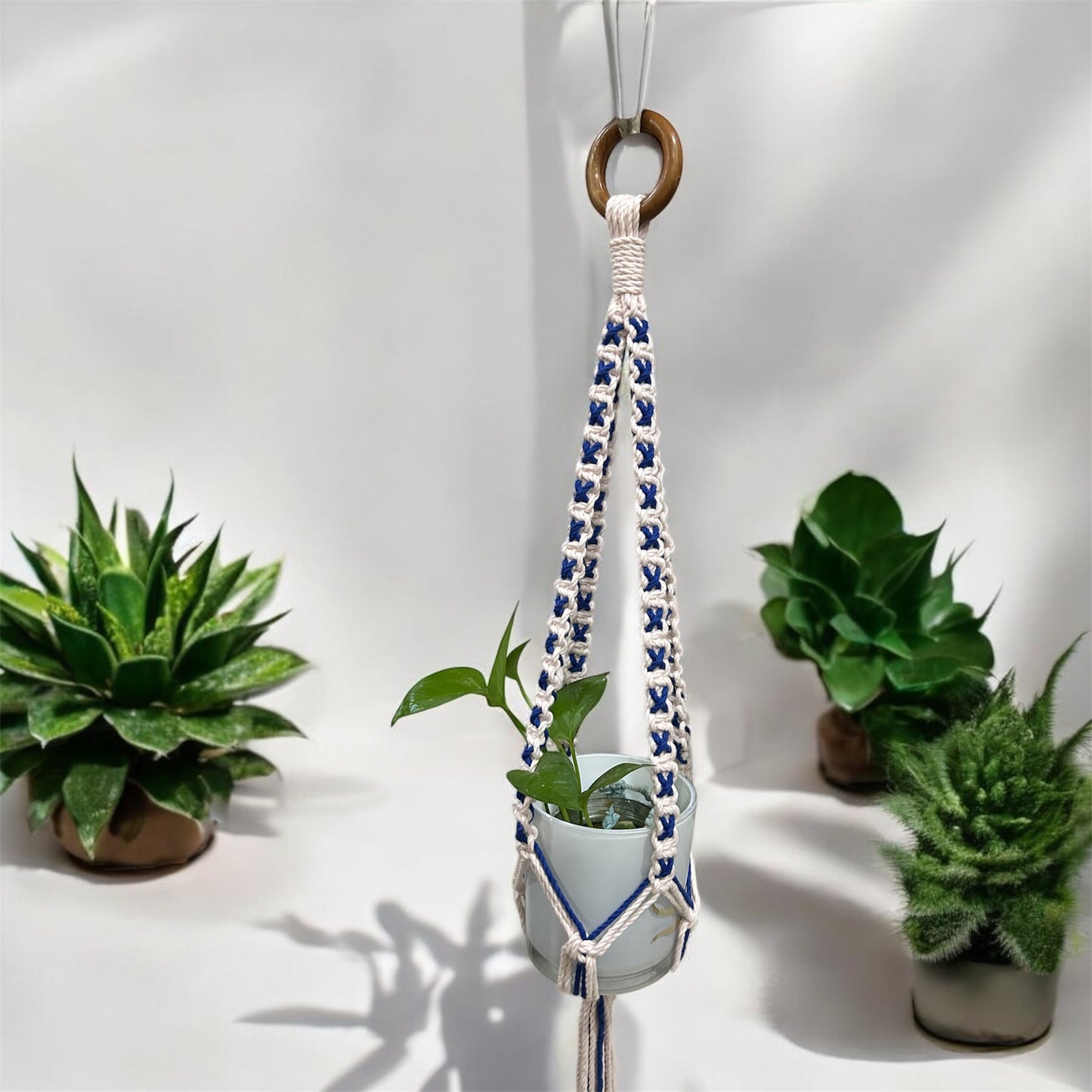 Macrame Intertwined Plant Hanger