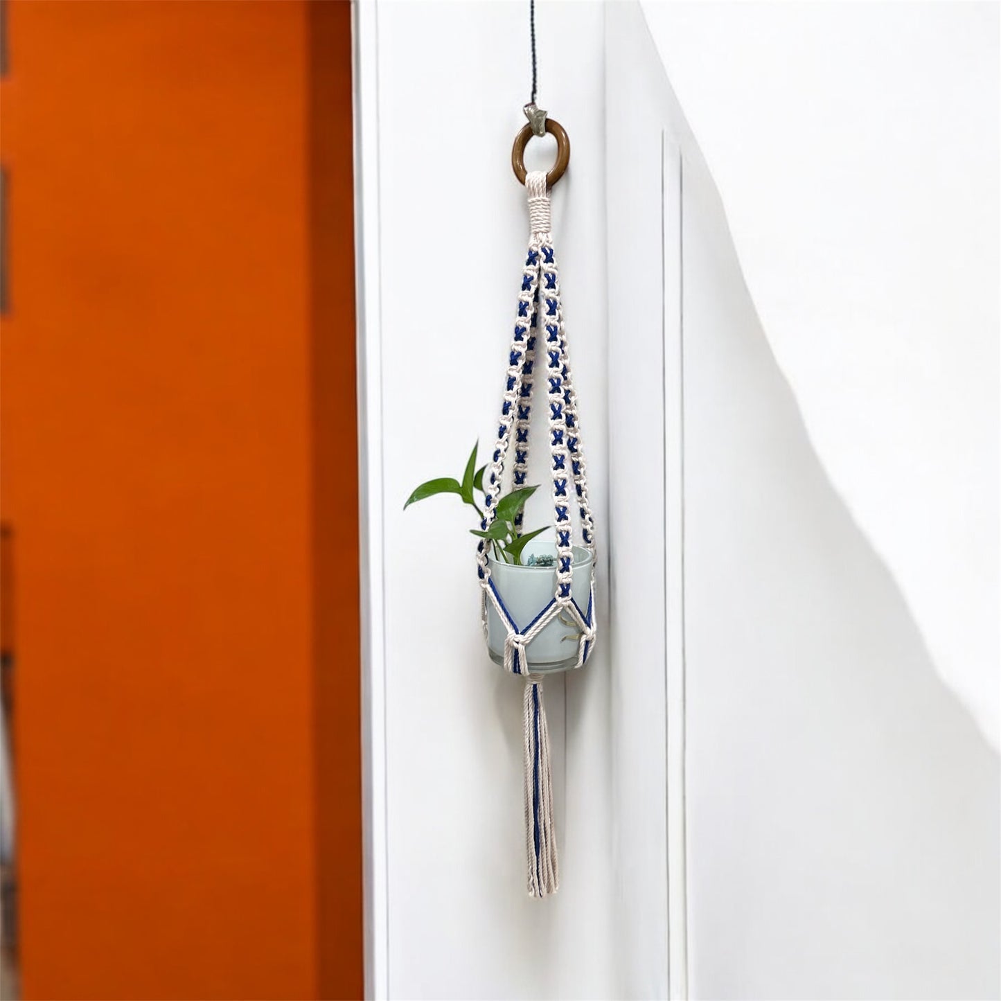 Macrame Intertwined Plant Hanger