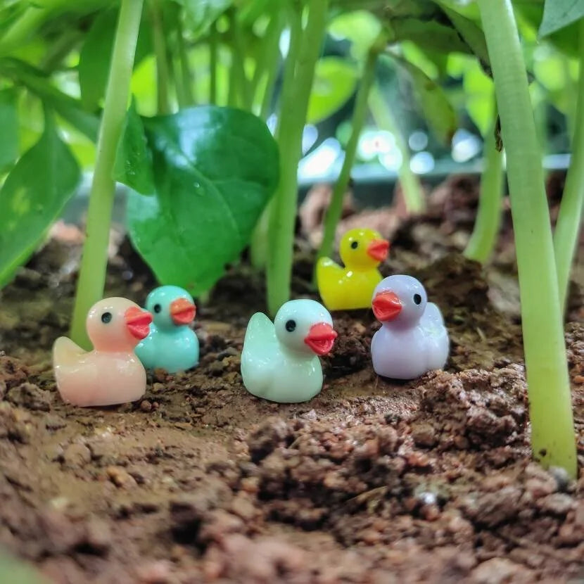 Duck Miniatures (Set of 10) - plant store® 