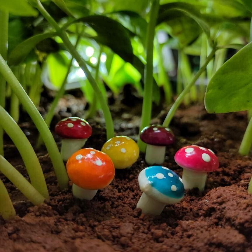 Miniature Mushrooms - Set of 10