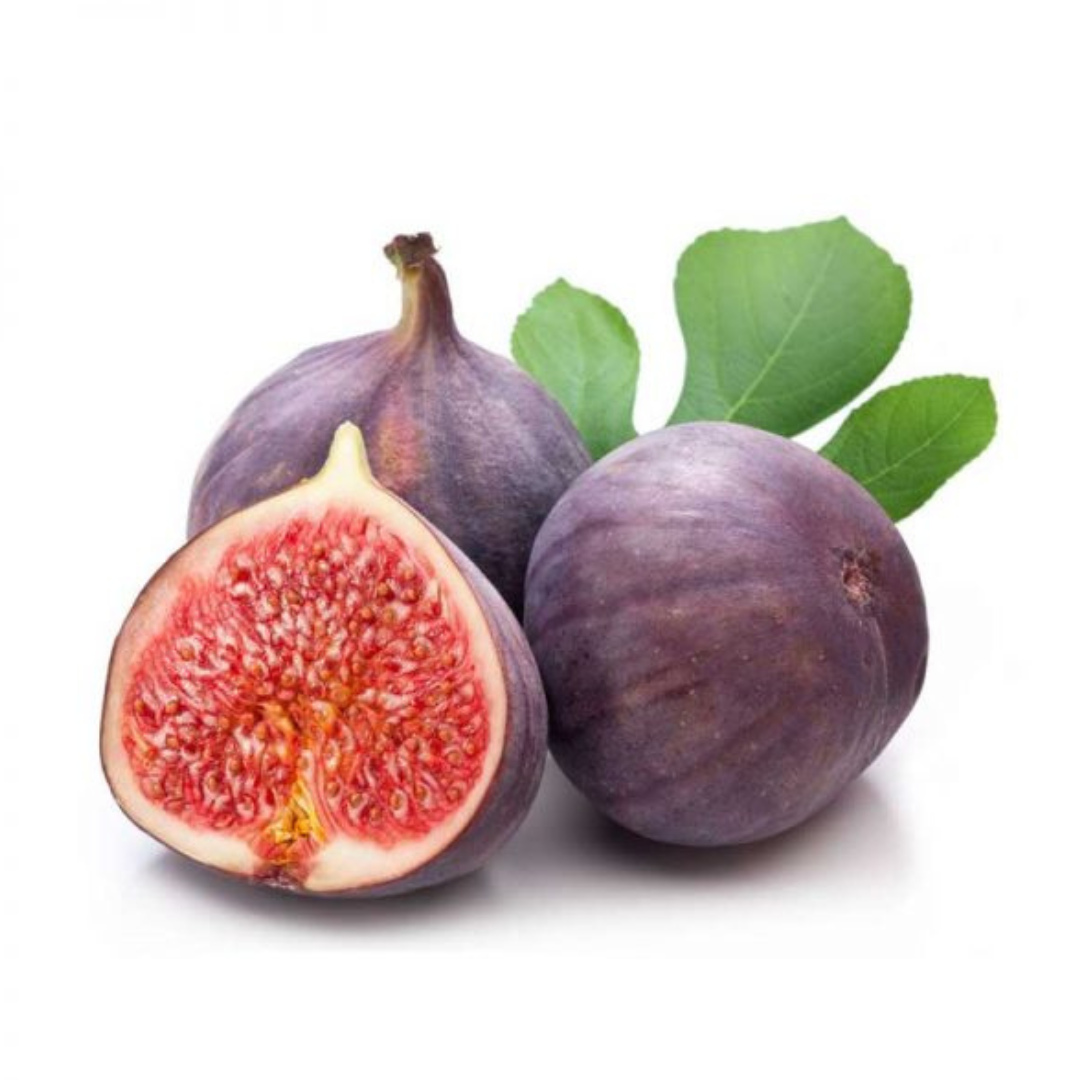 Five Finger Anjeer/Fig Plant