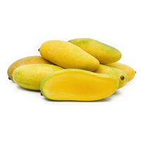 Banana Mango Grafted Tree