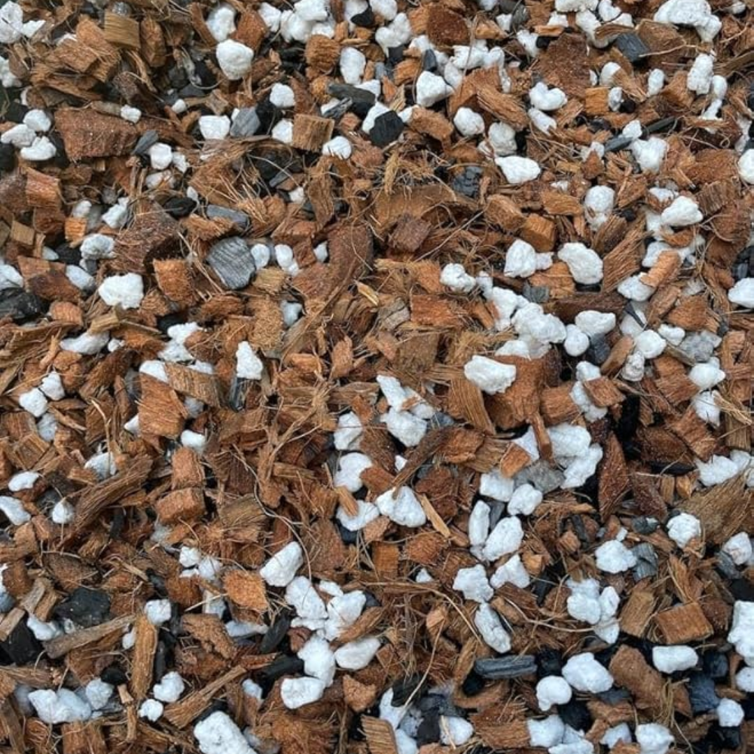 Orchid Potting Mix - 450 Grams