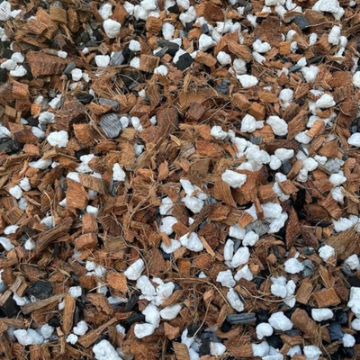 Orchid Potting Mix - 450 Grams
