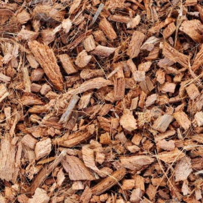 Orchid Potting Mix - 450 Grams